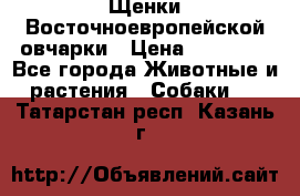 Щенки Восточноевропейской овчарки › Цена ­ 25 000 - Все города Животные и растения » Собаки   . Татарстан респ.,Казань г.